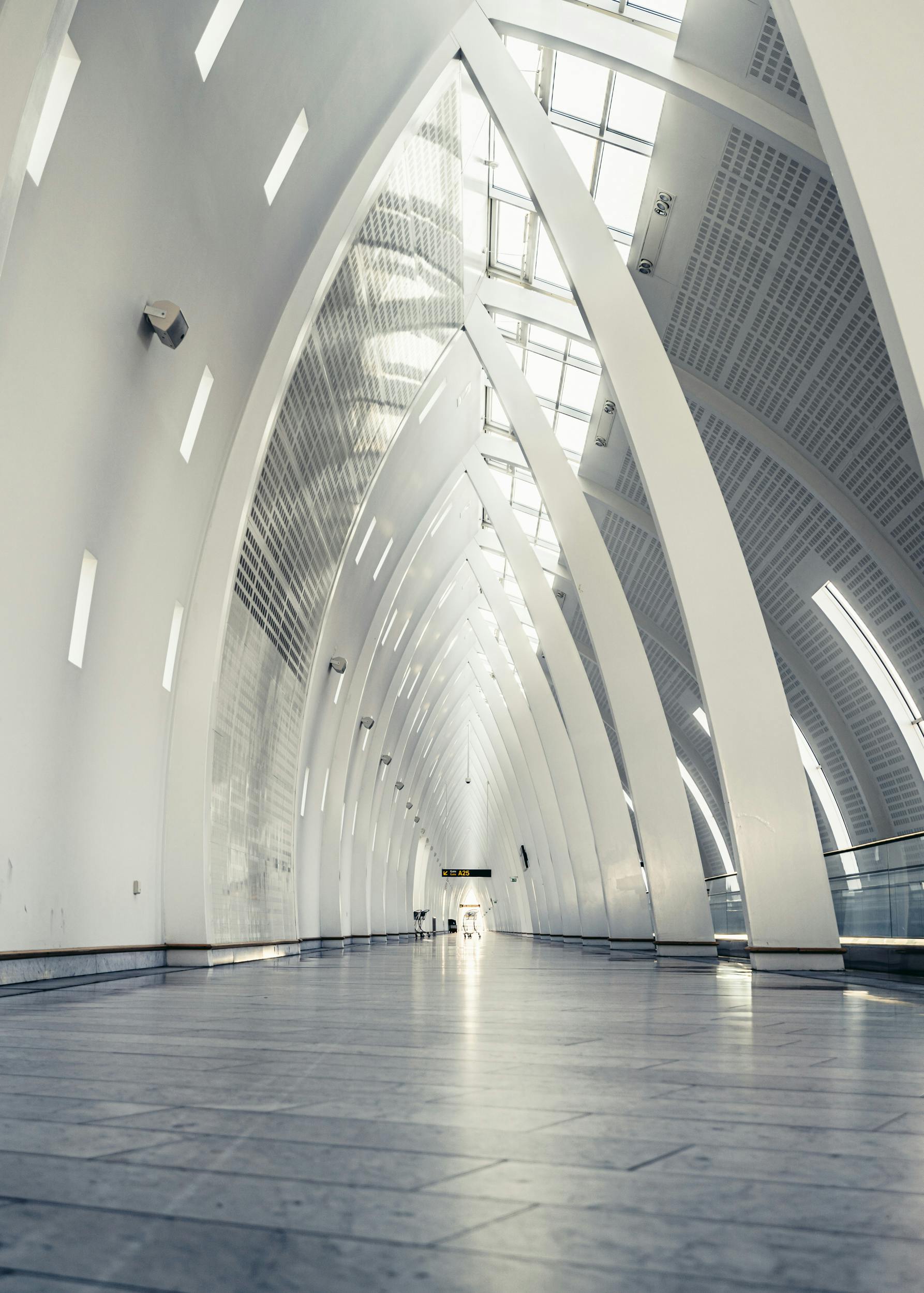 ne<span>x</span>pell – Das moderne CMS für flexible Webentwicklung